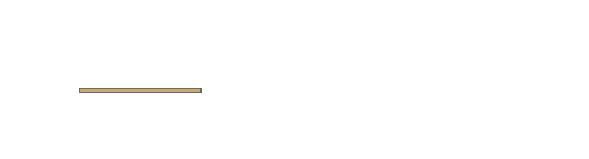 Arhitektura. Preciznost. Funkcija.